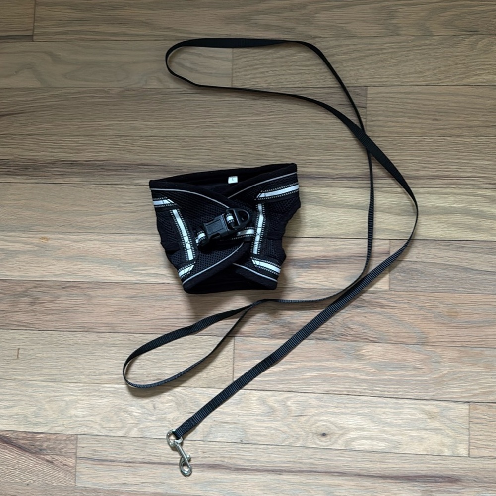 Black Cat Harness and Leash Set